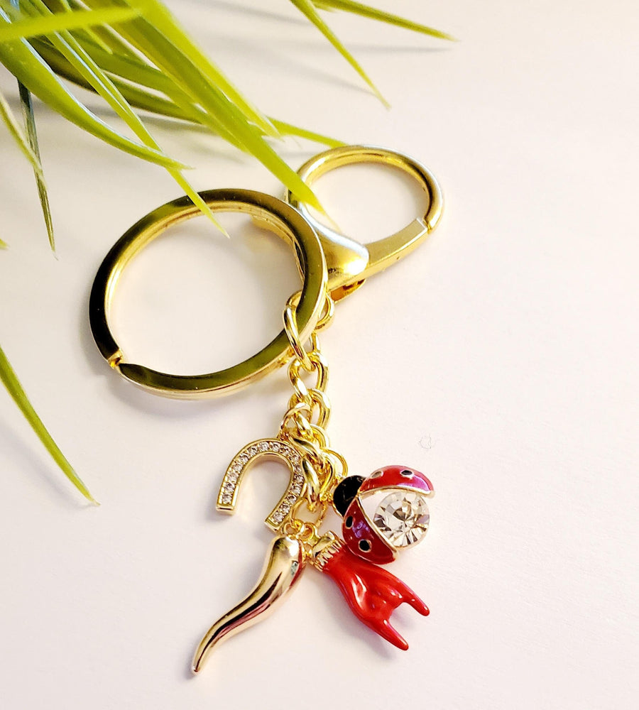 Portafortuna, amuletos de la suerte, Cornicello, Mano Cornuto, herradura y llavero de mariquita